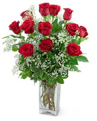 Dozen Roses in a Cloud from Eagledale Florist in Indianapolis, IN