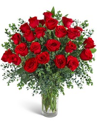 Two Dozen Red Hot Roses from Eagledale Florist in Indianapolis, IN