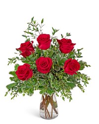 Half Dozen Red Roses from Eagledale Florist in Indianapolis, IN Half Dozen Red Roses from Eagledale Florist in Indianapolis, IN