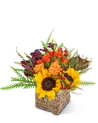 Harvest Season from Eagledale Florist in Indianapolis, IN