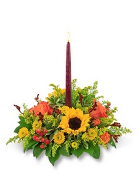 Autumnal Equinox Centerpiece from Eagledale Florist in Indianapolis, IN