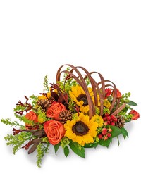 Creative Cornucopia from Eagledale Florist in Indianapolis, IN