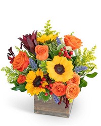 Rosewood Canyon  from Eagledale Florist in Indianapolis, IN