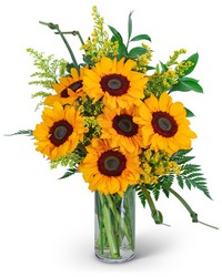 Sunflowers and Love Knots from Eagledale Florist in Indianapolis, IN