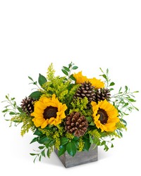 Harvest Sunburst Beauty from Eagledale Florist in Indianapolis, IN