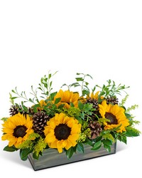 Rustic Fields in Autumn from Eagledale Florist in Indianapolis, IN Rustic Fields in Autumn from Eagledale Florist in Indianapolis, IN