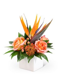 New Horizon from Eagledale Florist in Indianapolis, IN