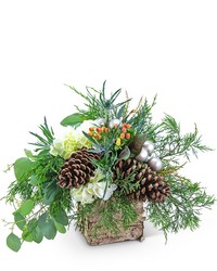 Holiday Spirit from Eagledale Florist in Indianapolis, IN