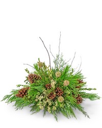 Evergreen Simplicity from Eagledale Florist in Indianapolis, IN