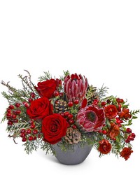 Noir Noel from Eagledale Florist in Indianapolis, IN