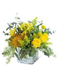 Belle De Jour from Eagledale Florist in Indianapolis, IN