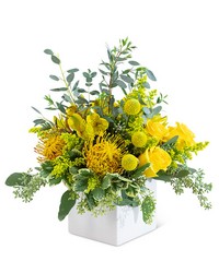 Grand Radiance from Eagledale Florist in Indianapolis, IN