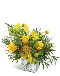Zesty Twist from Eagledale Florist in Indianapolis, IN Zesty Twist from Eagledale Florist in Indianapolis, IN